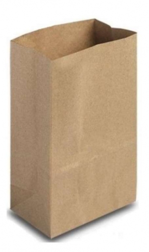 MP - SACO DELIVERY 18 X 10 X 27 (PP1) LISO - PT.10UN